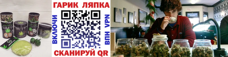 Купить закладки  Ставрополь  Cannafood конопля 