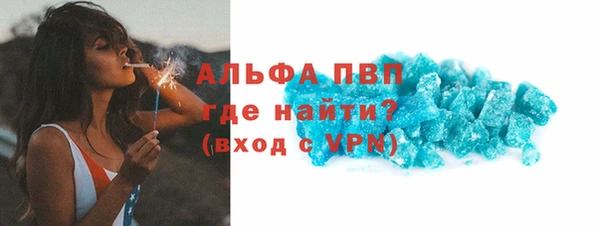 хмурый Новозыбков