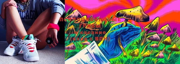 мдма Новокубанск