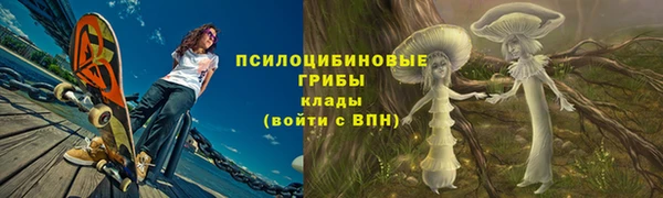 хмурый Новозыбков